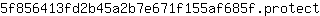 5***t