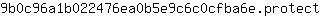 9***t