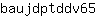 b***5