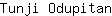 T***n
