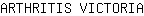 A***A