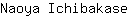 N***e