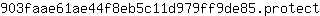 9***t