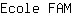 E***M