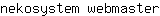 n***r