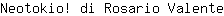N***e