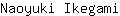 N***i