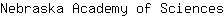 N***s