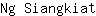 N***t