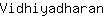 V***n
