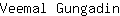 V***n