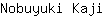 N***i