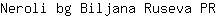 N***R