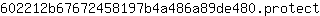 6***t