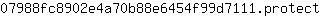 0***t