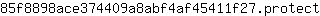 8***t