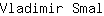 V***l
