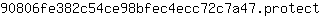 9***t