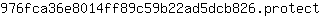 9***t