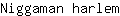 N***m