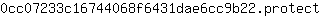 0***t