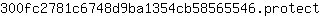 3***t