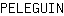 P***N