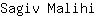S***i