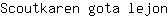 S***n
