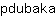 p***a