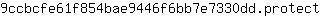 9***t