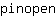 p***n