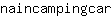 n***r