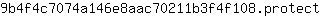 9***t