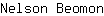 N***n
