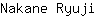 N***i