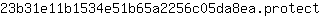 2***t