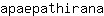 a***a