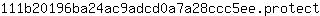 1***t