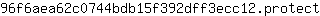 9***t
