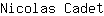 N***t