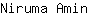 N***n