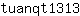 t***3
