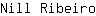 N***o