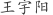 王***阳