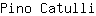 P***i