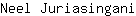 N***i