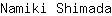 N***a