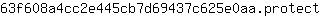 6***t
