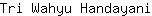 T***i